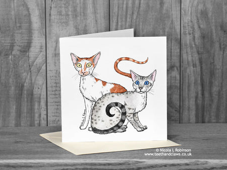 Two cats greeting card - Freya and Renegade 'Katzenworld' © Nicola L Robinson | Teeth and Claws