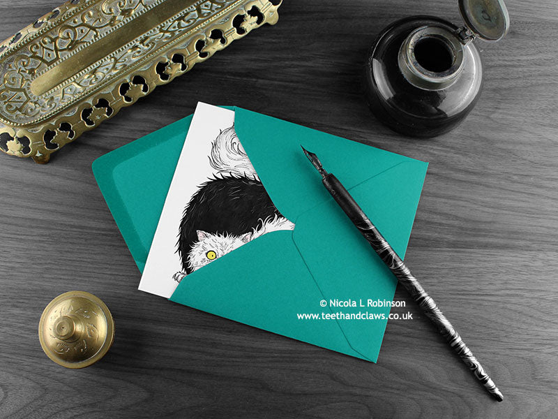 Black and white Persian cats greeting card, shown lying flat, with my original pen and ink illustration of black and white cats, inside an open teal envelope. With vintage Victorian pen and writing desk accessories. Design and illustration © Nicola L Robinson | Teeth and Claws