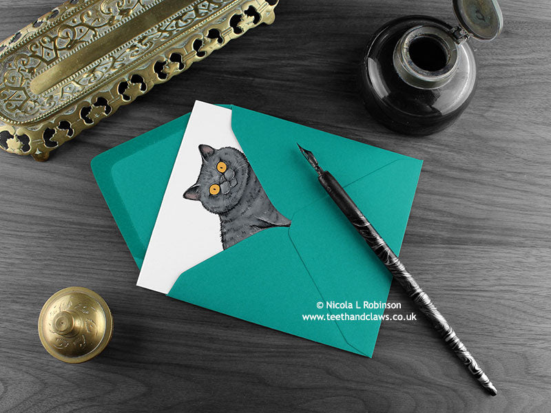 British Shorthair cat greeting card, shown lying flat, with my original pen and ink illustration of a British Shorthair cat, inside an open teal envelope. With vintage Victorian pen and writing desk accessories. Design and illustration © Nicola L Robinson | Teeth and Claws