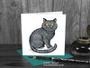 British Shorthair Cat Greeting Card © Nicola L Robinson | Teeth and Claws