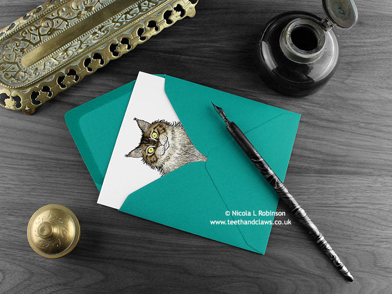 Maine Coon cat greeting card, shown lying flat, with my original pen and ink illustration of a cat, inside an open teal envelope. With vintage Victorian pen and writing desk accessories. Design and illustration © Nicola L Robinson | Teeth and Claws