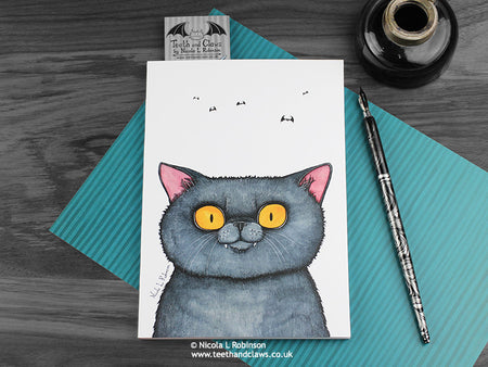British Shorthair Cat Notebook www.teethandclaws.co.uk © Nicola L Robinson