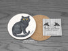 Cat Coaster - British Shorthair Cat © Nicola L Robinson | www.teethandclaws.co.uk