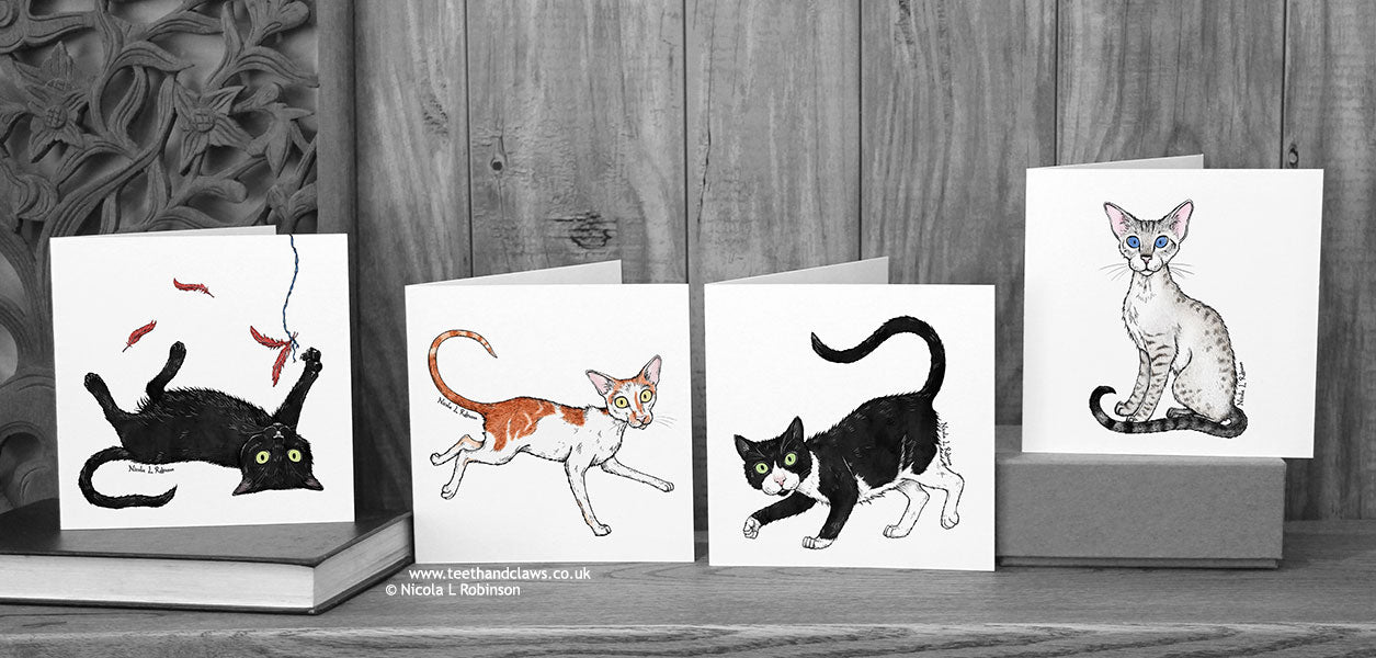Four Katzenworld Cats Cat Cards © Nicola L Robinson | Teeth and Claws