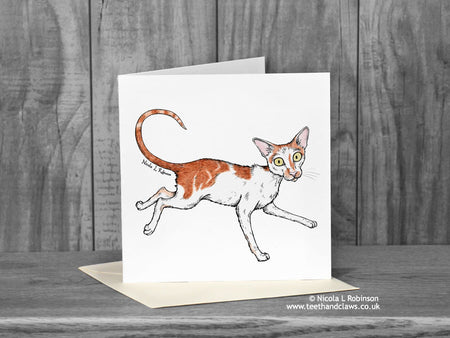 Ginger and White Cat Greeting Card - Renegade 'Katzenworld' © Nicola L Robinson | Teeth and Claws