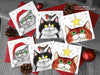 Cat Christmas Cards - Set of 6 Square © Nicola L Robinson | Teeth and Claws