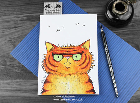 Persian Cat Notebook www.teethandclaws.co.uk © Nicola L Robinson